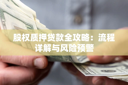 武汉股权质押贷款全攻略：流程详解与风险预警
