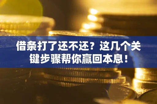 武汉借条打了还不还？这几个关键步骤帮你赢回本息！