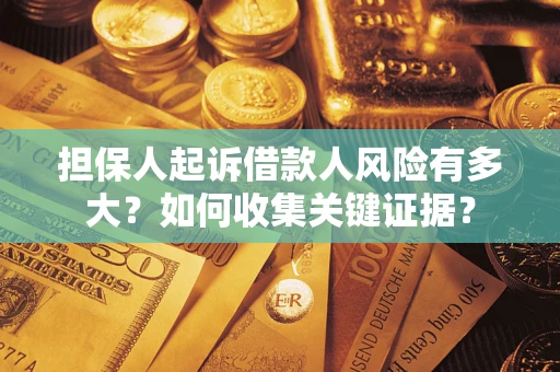 武汉担保人起诉借款人风险有多大？如何收集关键证据？