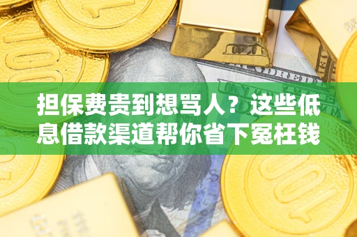 武汉担保费贵到想骂人？这些低息借款渠道帮你省下冤枉钱