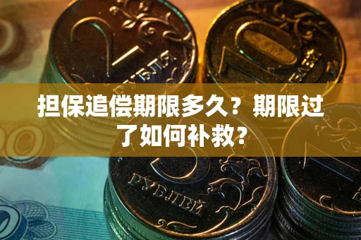 武汉担保追偿期限多久？期限过了如何补救？