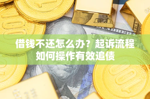 武汉借钱不还怎么办？起诉流程如何操作有效追债