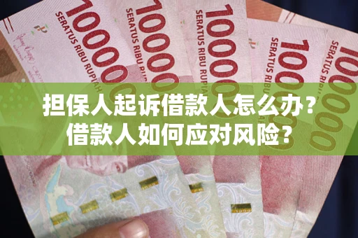 武汉担保人起诉借款人怎么办？借款人如何应对风险？