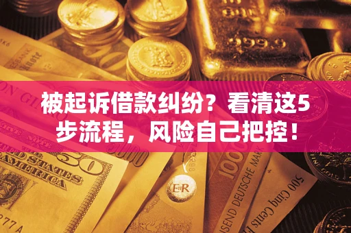 武汉被起诉借款纠纷？看清这5步流程，风险自己把控！