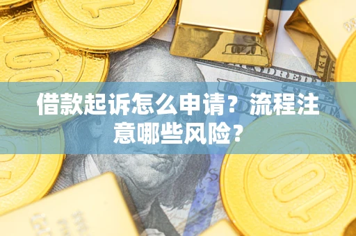 武汉借款起诉怎么申请？流程注意哪些风险？
