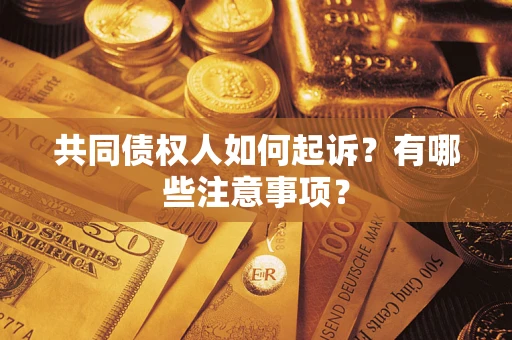 武汉共同债权人如何起诉？有哪些注意事项？