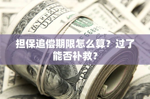 武汉担保追偿期限怎么算？过了能否补救？